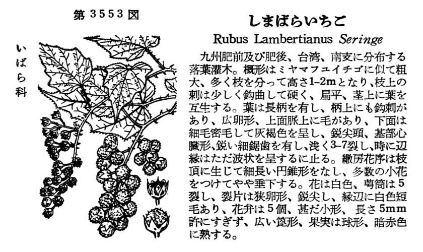 植物図鑑