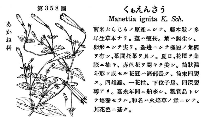 植物図鑑