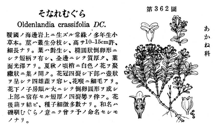 植物図鑑