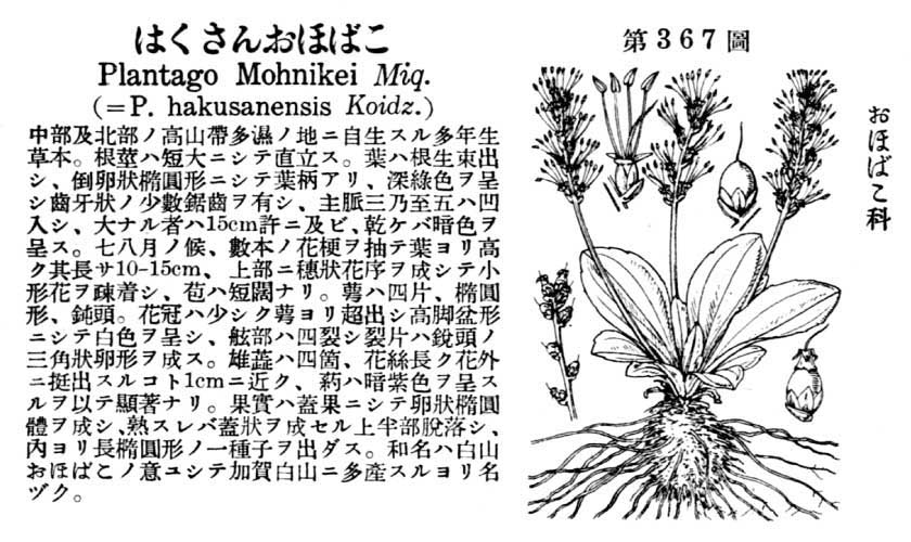 植物図鑑