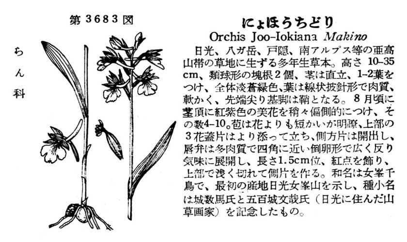 植物図鑑