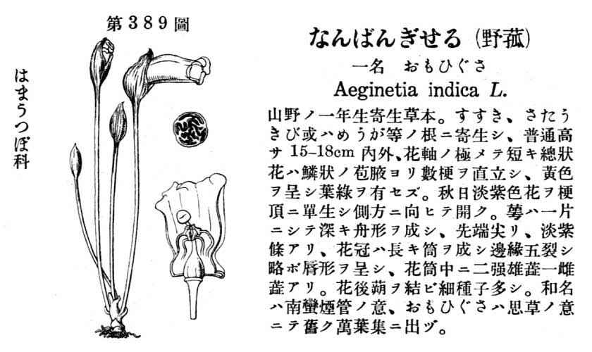 植物図鑑