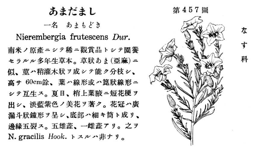植物図鑑