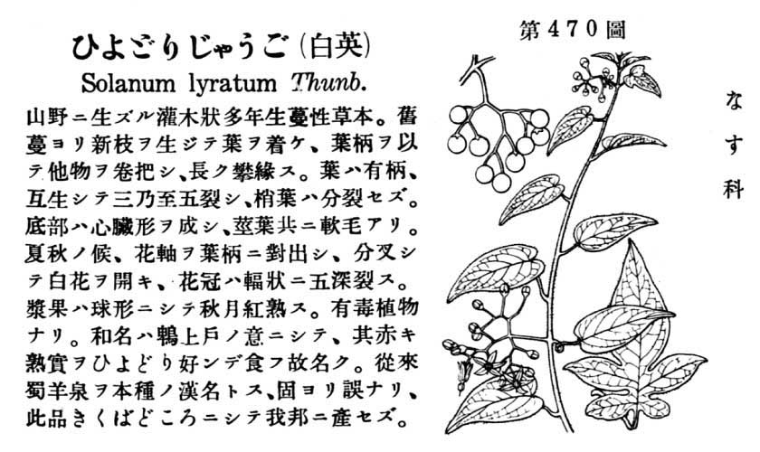 植物図鑑