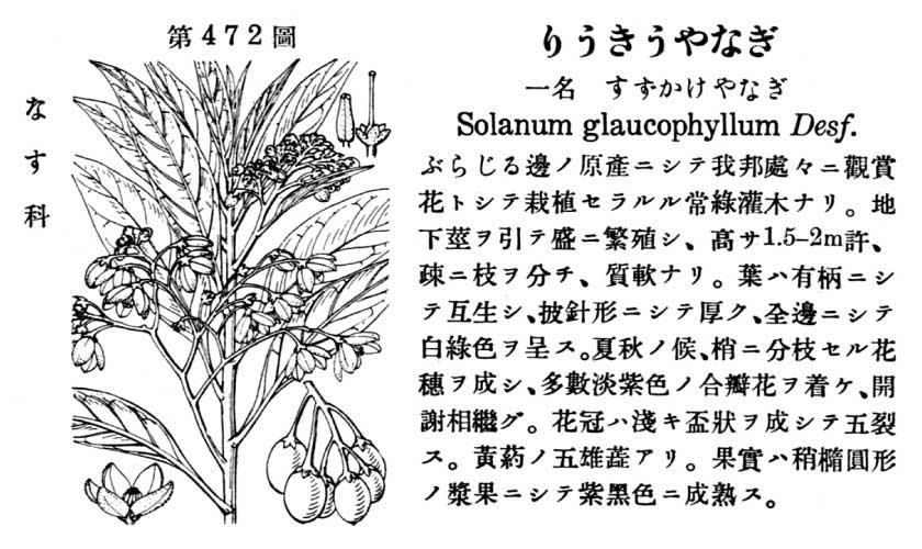 植物図鑑