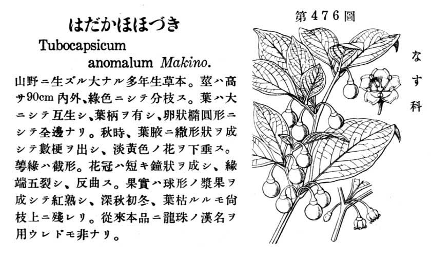 植物図鑑