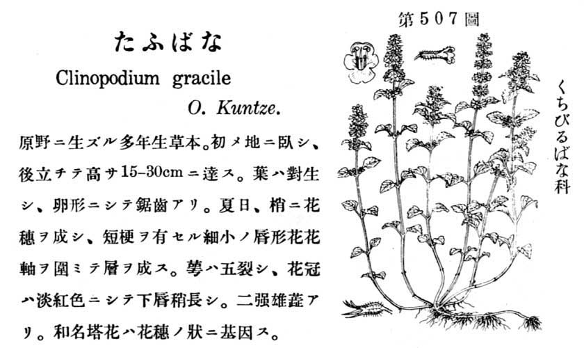 植物図鑑