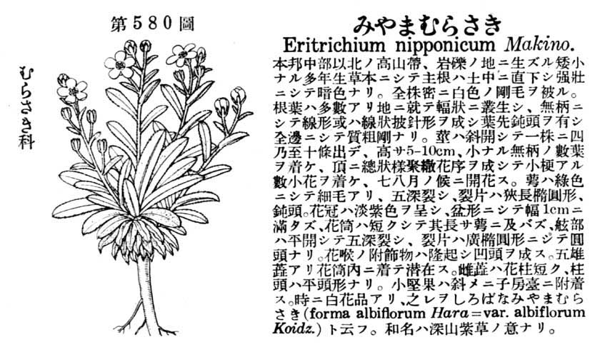 植物図鑑