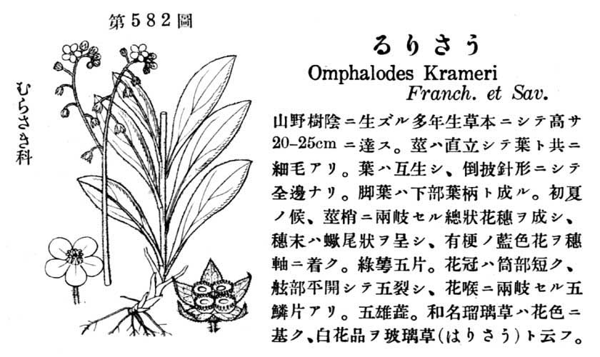 植物図鑑