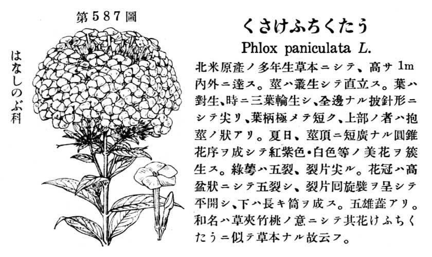 植物図鑑