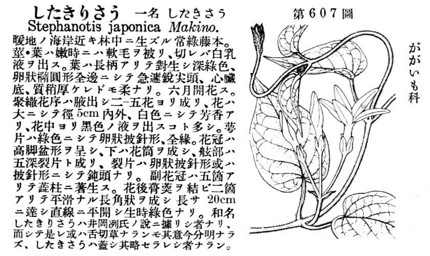 植物図鑑