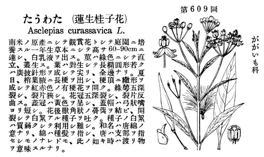 植物図鑑