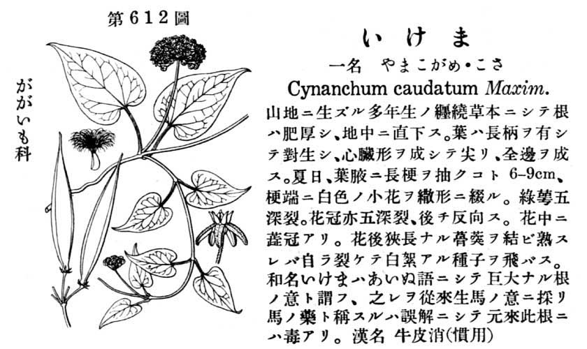 植物図鑑