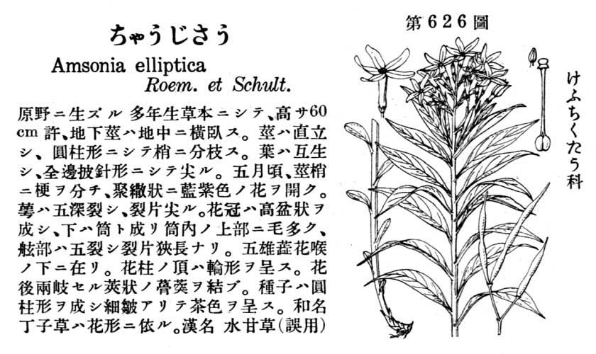 植物図鑑