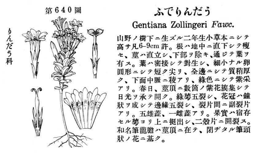植物図鑑