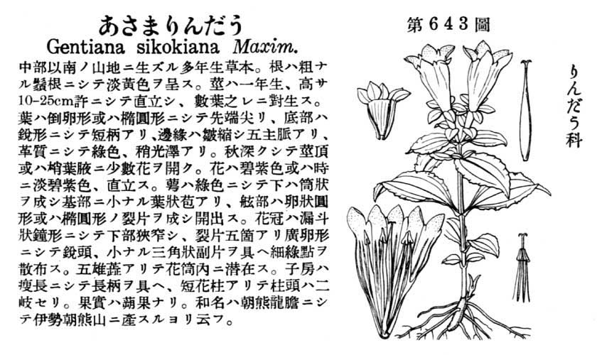 植物図鑑