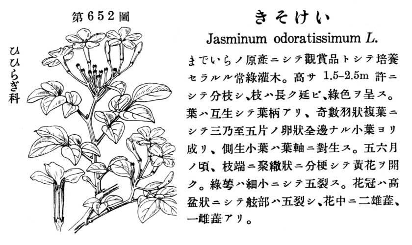 植物図鑑
