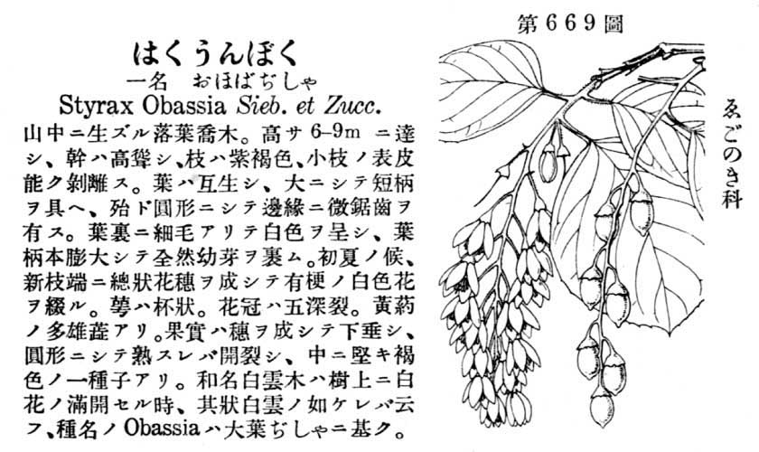 植物図鑑