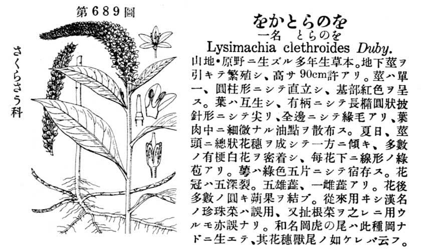植物図鑑