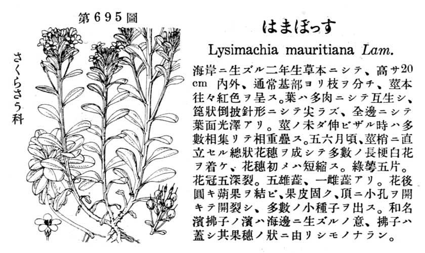 植物図鑑