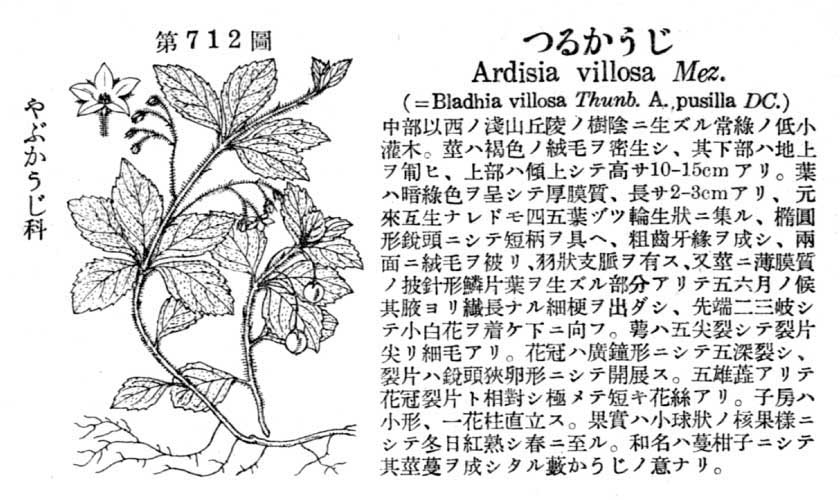 植物図鑑