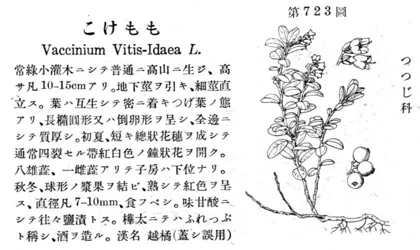 植物図鑑