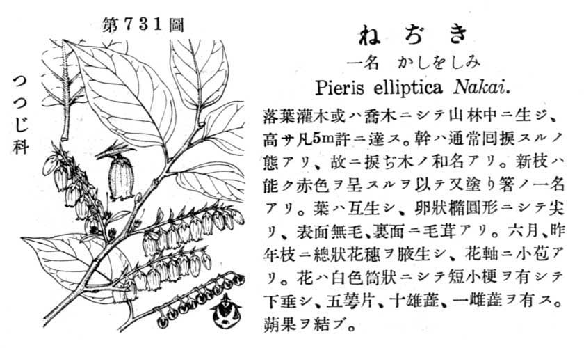 植物図鑑