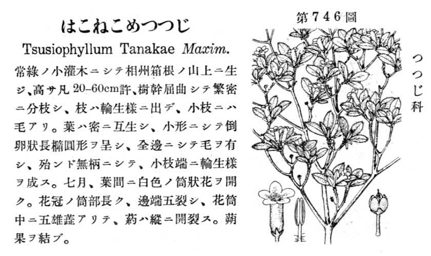 植物図鑑
