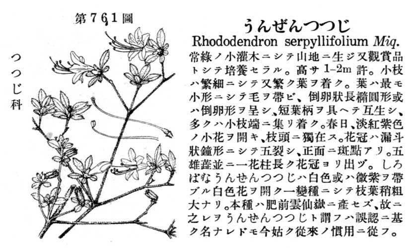 植物図鑑