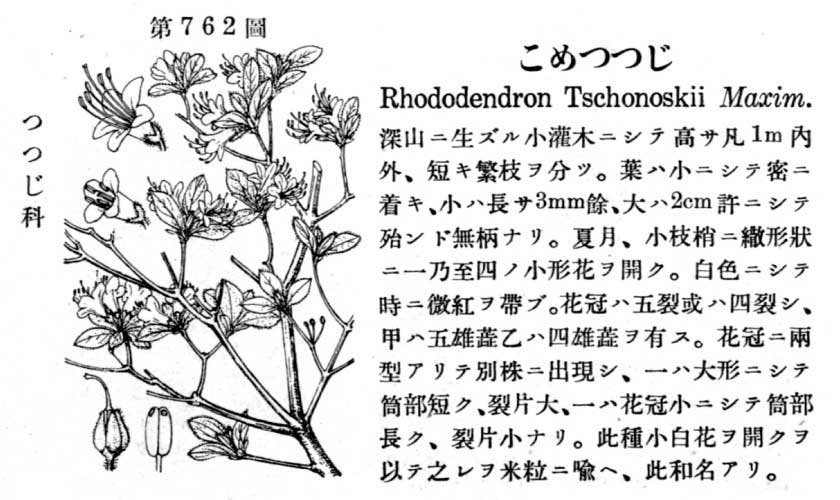 植物図鑑