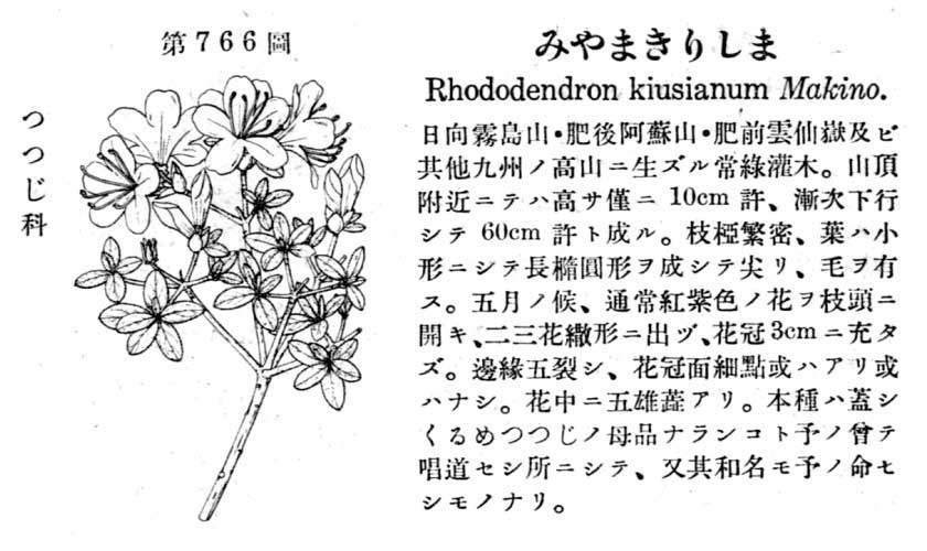 植物図鑑