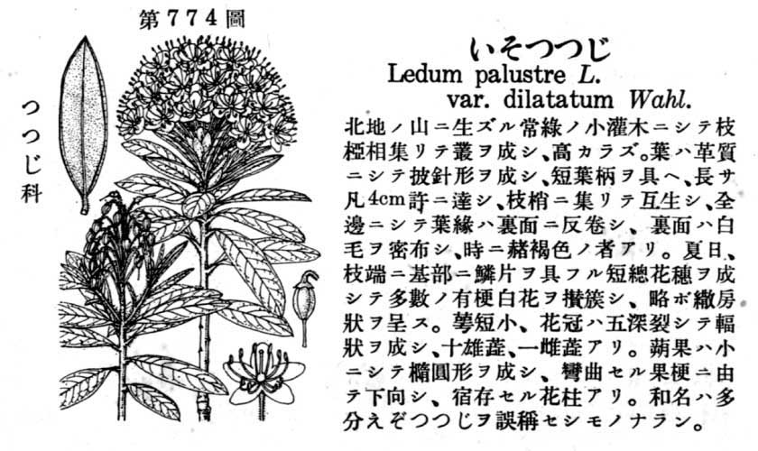 植物図鑑