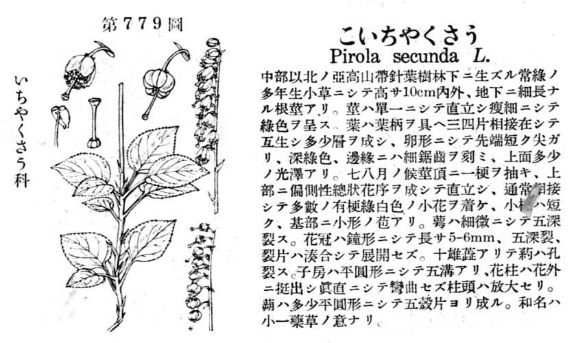 植物図鑑