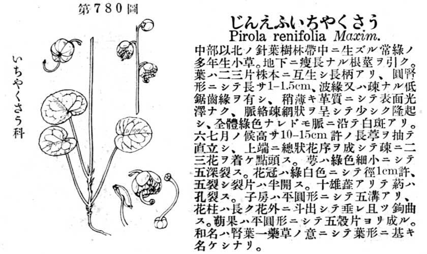 植物図鑑