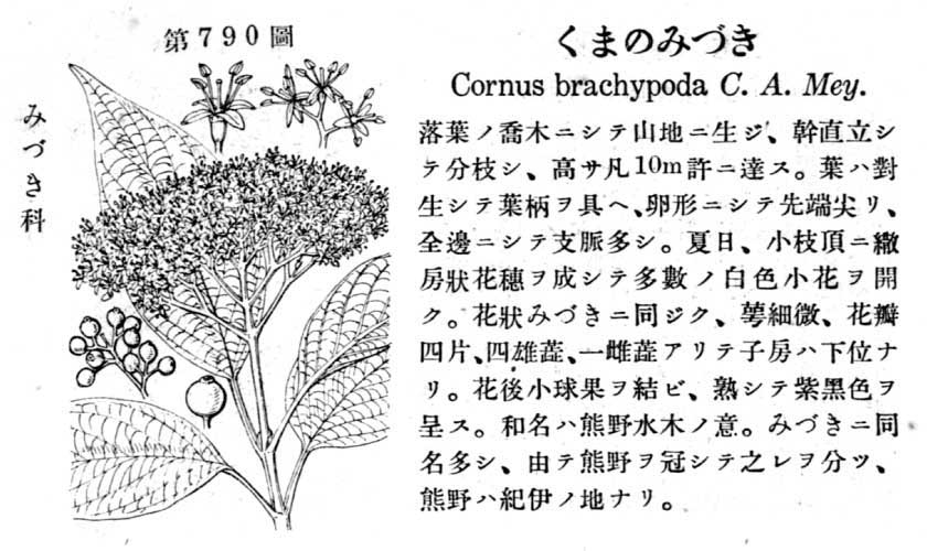 植物図鑑