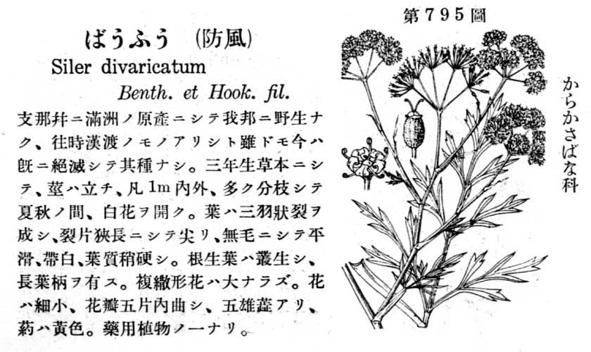 植物図鑑