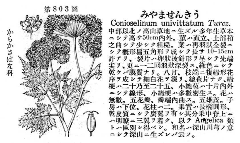 植物図鑑