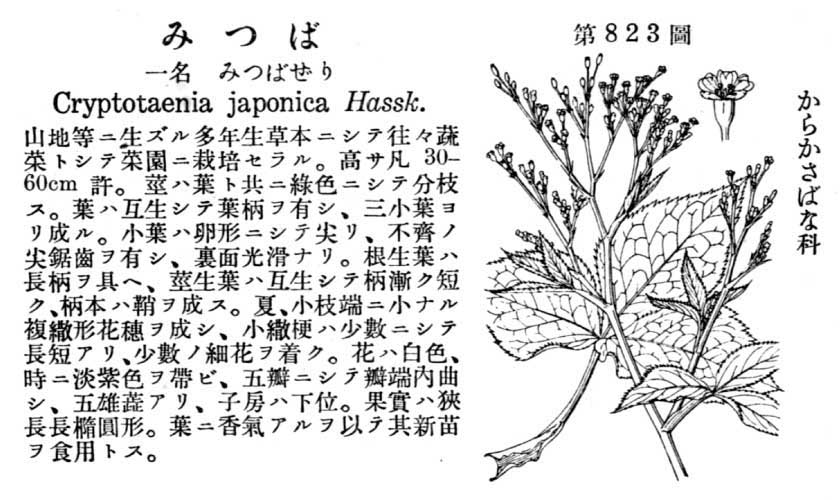 植物図鑑