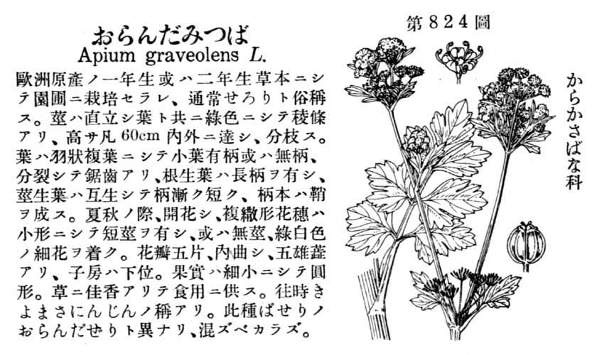 植物図鑑