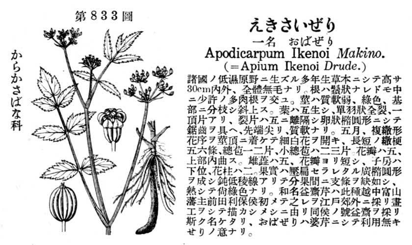 植物図鑑