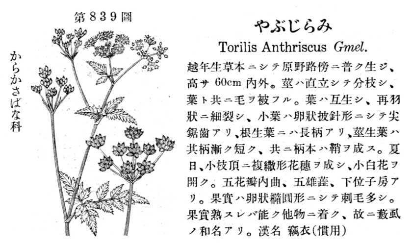 植物図鑑