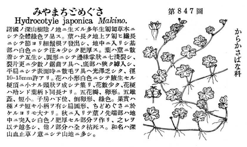 植物図鑑
