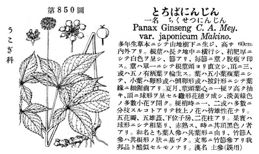 植物図鑑