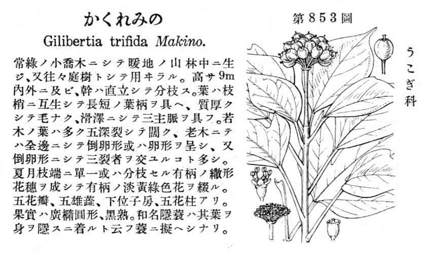 植物図鑑