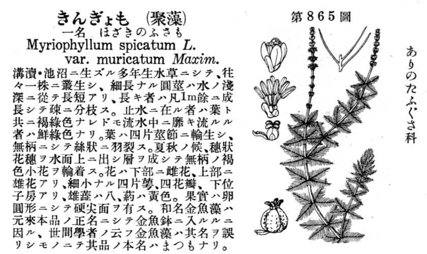 植物図鑑