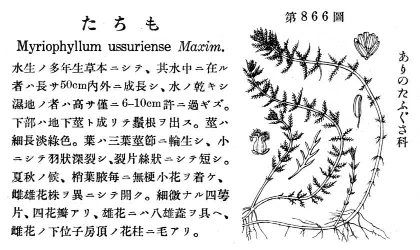 植物図鑑