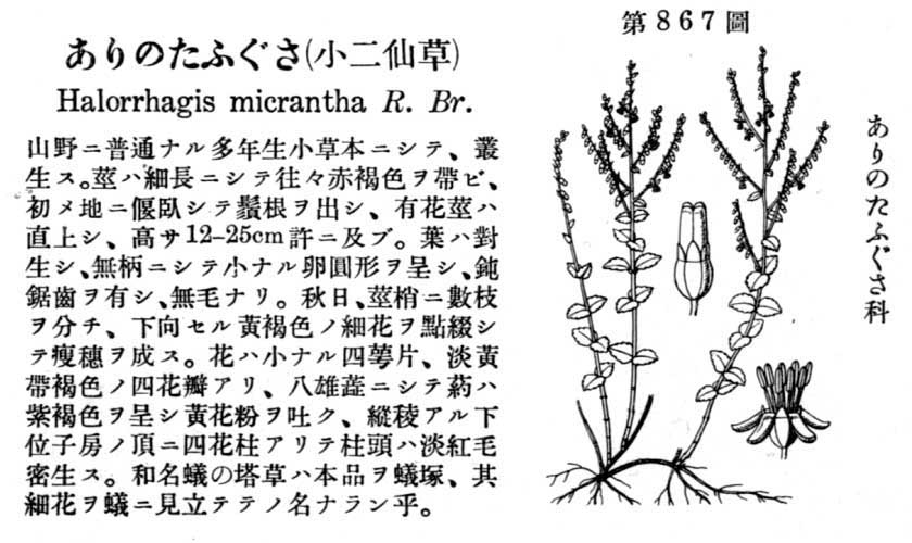 植物図鑑