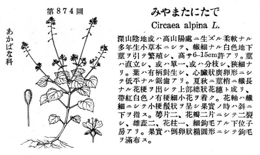 植物図鑑