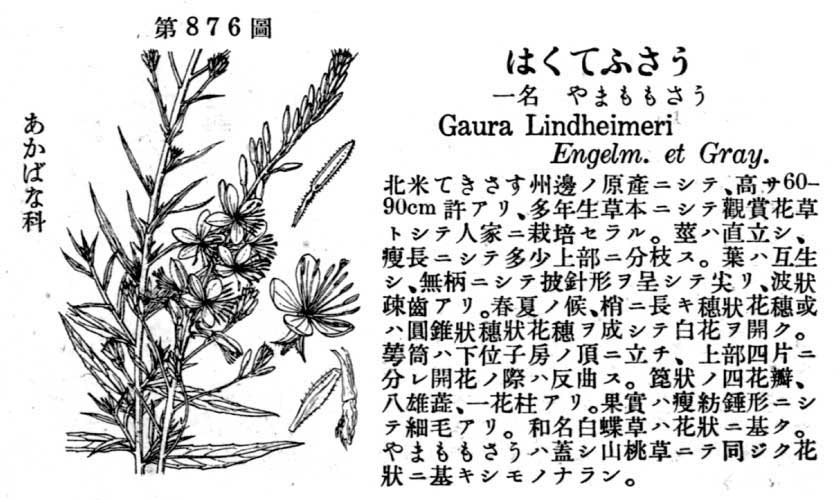 植物図鑑