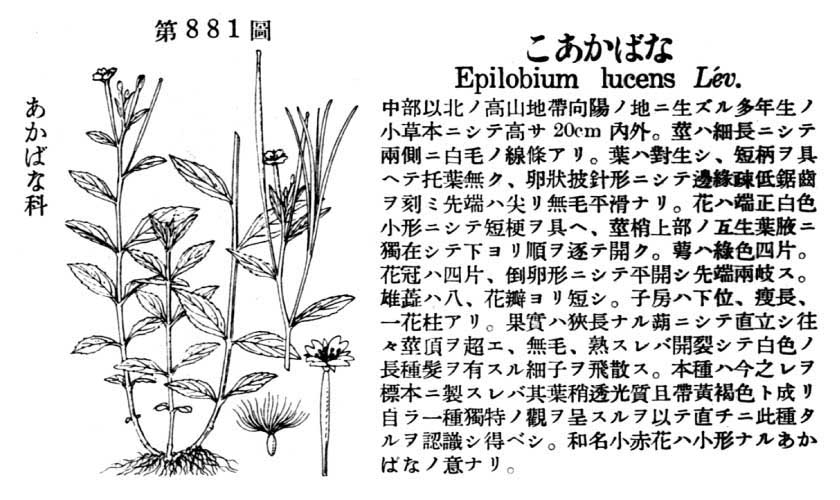 植物図鑑